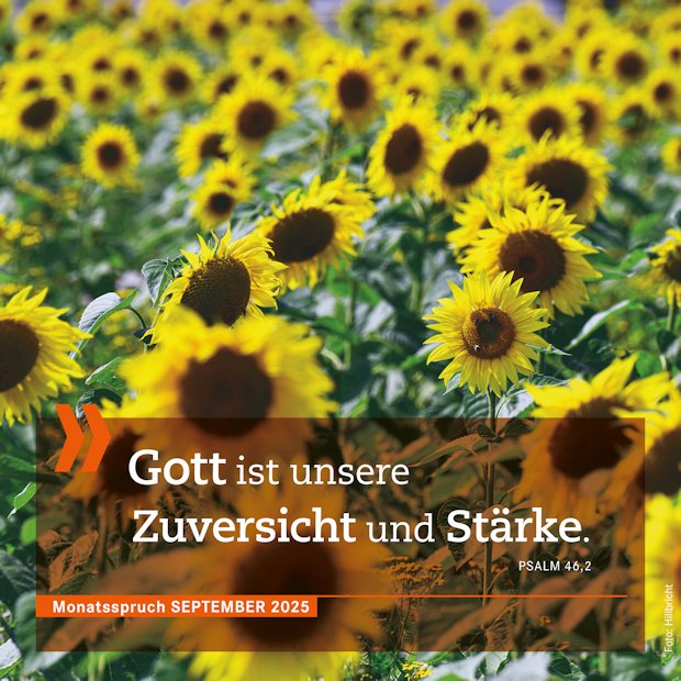 Monatsspruch September 2025 - Gott ist unsere Zuversicht und Stärke.
