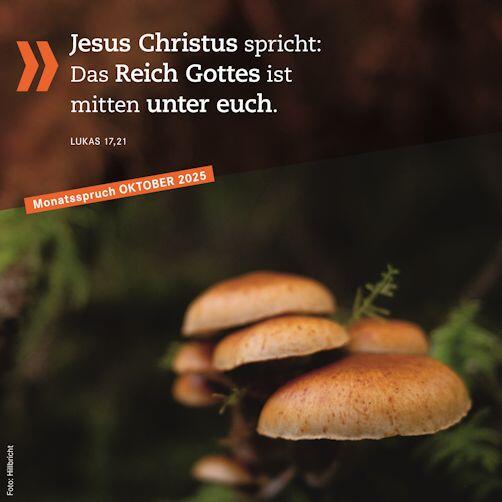 Monatsspruch Oktober 2025 Jesus Christus spricht: Das Reich Gottes ist mitten unter euch. Lukas 17,21 Foto: Daniela Hillbricht