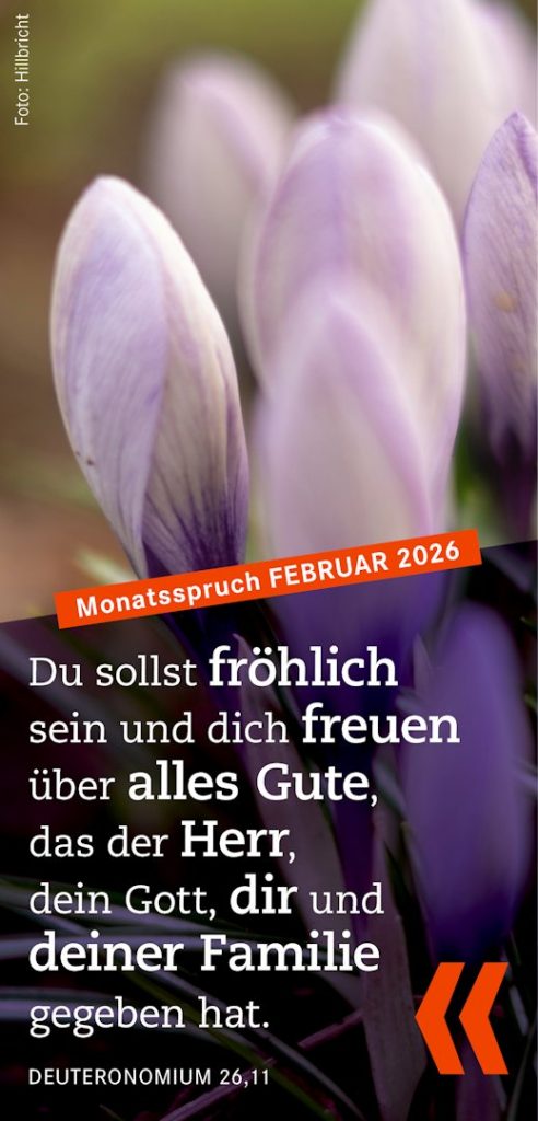 Monatsspruch Februar