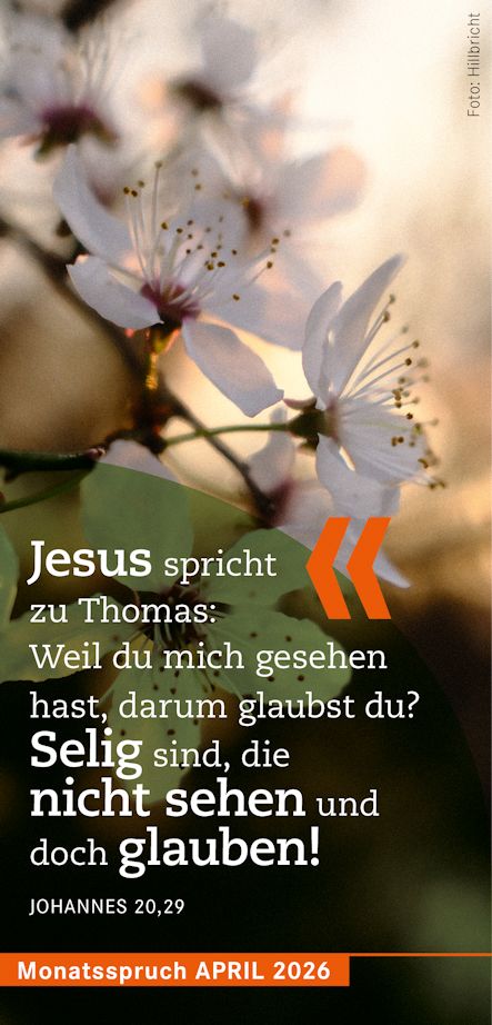 Jesus spricht zu Thomas: Weil du mich gesehen hast, darum glaubst du? Selig sind, die nicht sehen und doch glauben! Joh 20,29 (L)