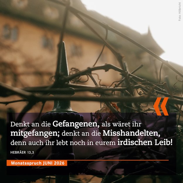 Monatsspruch Juni 2026: Denkt an die Gefangenen, als wäret ihr mitgefangen; denkt an die Misshandelten, denn auch ihr lebt noch in eurem irdischen Leib! Hebr 13,3 (E)